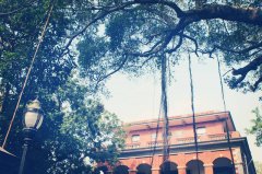 我国31省市重点大学及王牌专业大盘点2022高考志愿填报必看!hahabet最新版